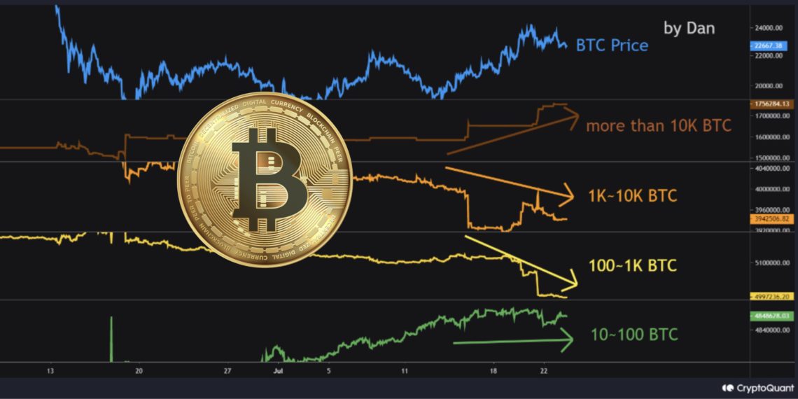 CryptoQuant：本次涨势是由持有10000个比特币的做市商扫货推动的